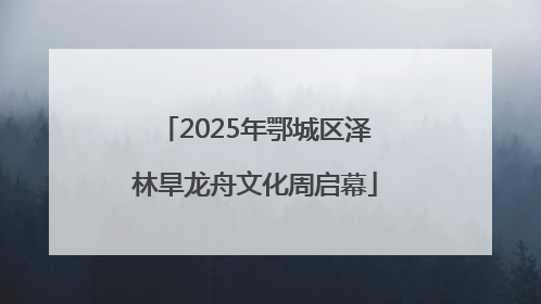 2025年鄂城区泽林旱龙舟文化周启幕