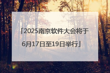 2025南京软件大会将于6月17日至19日举行