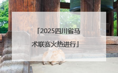 2025四川省马术联赛火热进行