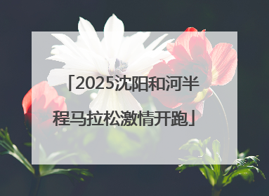 2025沈阳和河半程马拉松激情开跑