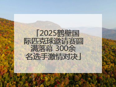 2025鹤壁国际匹克球邀请赛圆满落幕 300余名选手激情对决