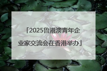 2025鲁港澳青年企业家交流会在香港举办