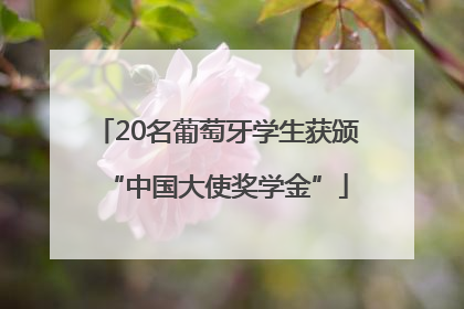 20名葡萄牙学生获颁“中国大使奖学金”