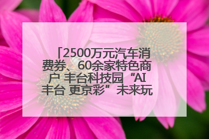 2500万元汽车消费券、60余家特色商户 丰台科技园“AI丰台 更京彩”未来玩家市集活动正式开幕