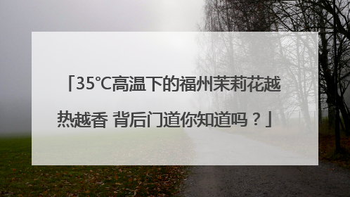 35℃高温下的福州茉莉花越热越香 背后门道你知道吗？