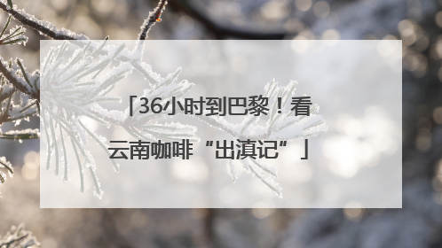 36小时到巴黎！看云南咖啡“出滇记”