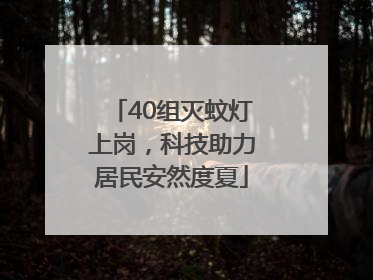40组灭蚊灯上岗，科技助力居民安然度夏
