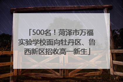 500名！菏泽市万福实验学校面向牡丹区、鲁西新区招收高一新生