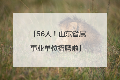 56人！山东省属事业单位招聘啦