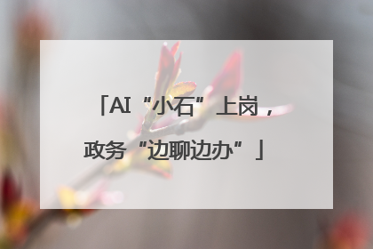 AI“小石”上岗，政务“边聊边办”