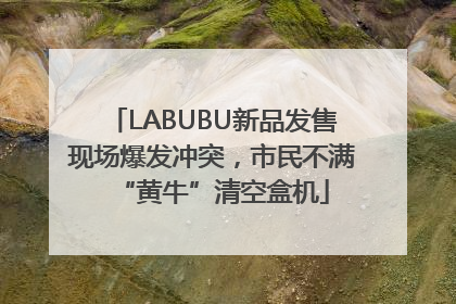 LABUBU新品发售现场爆发冲突，市民不满“黄牛”清空盒机